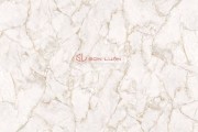 Gạch Ốp Lát Apodio 88285048